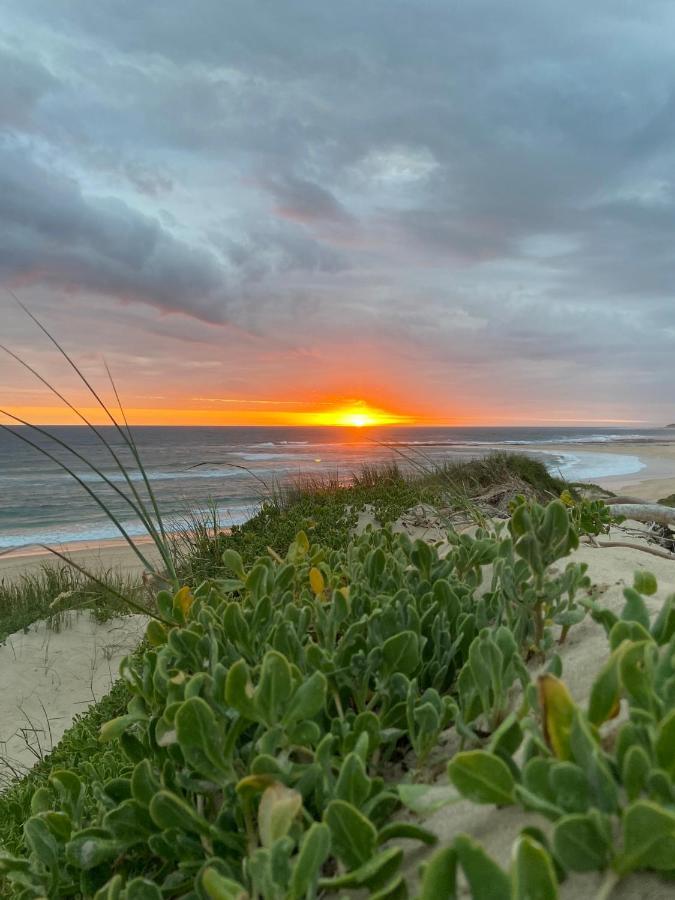 Soutelande Country Stay - Close To 1#Beach In Pe Порт-Элизабет Экстерьер фото