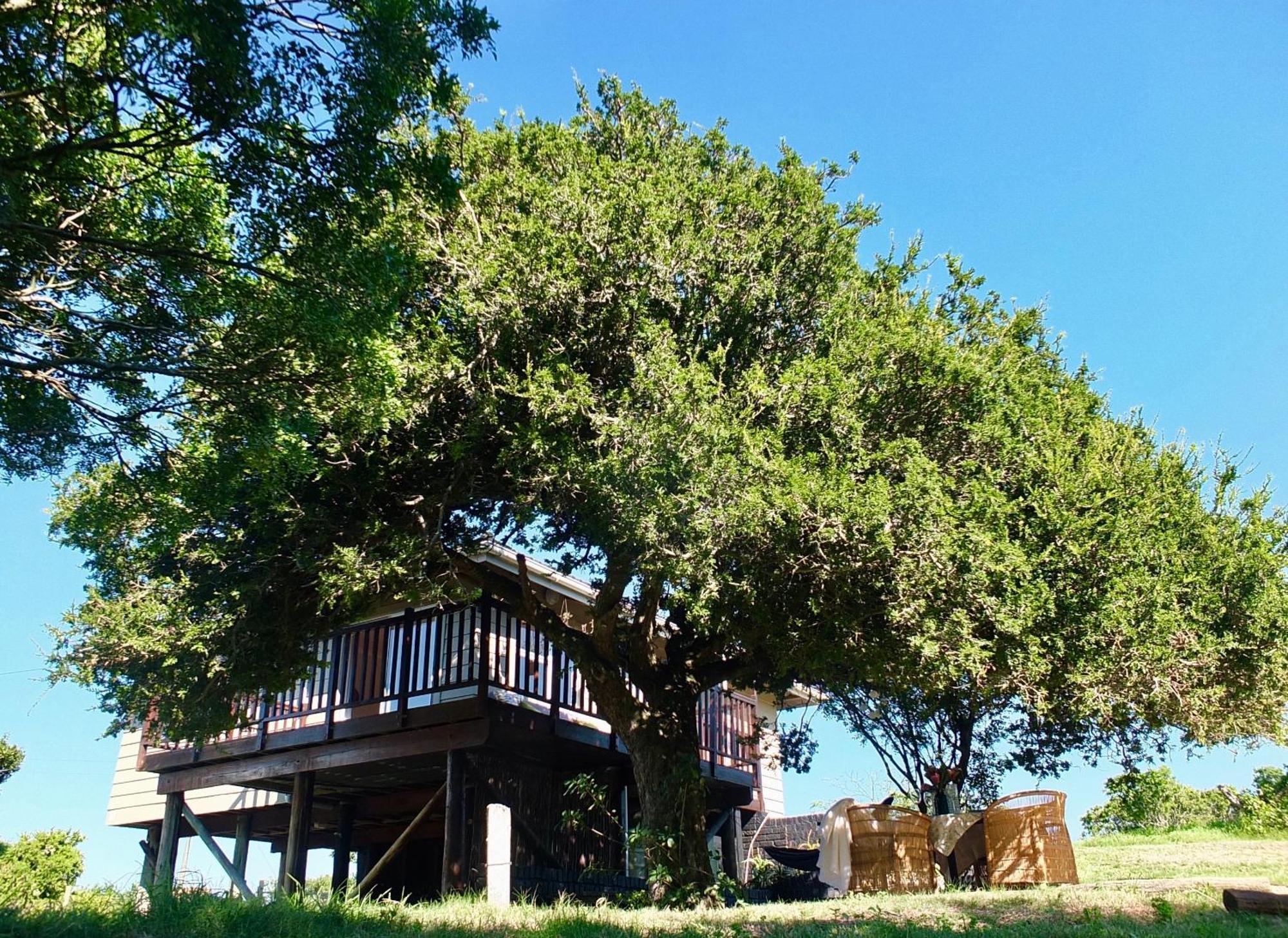 Soutelande Country Stay - Close To 1#Beach In Pe Порт-Элизабет Экстерьер фото