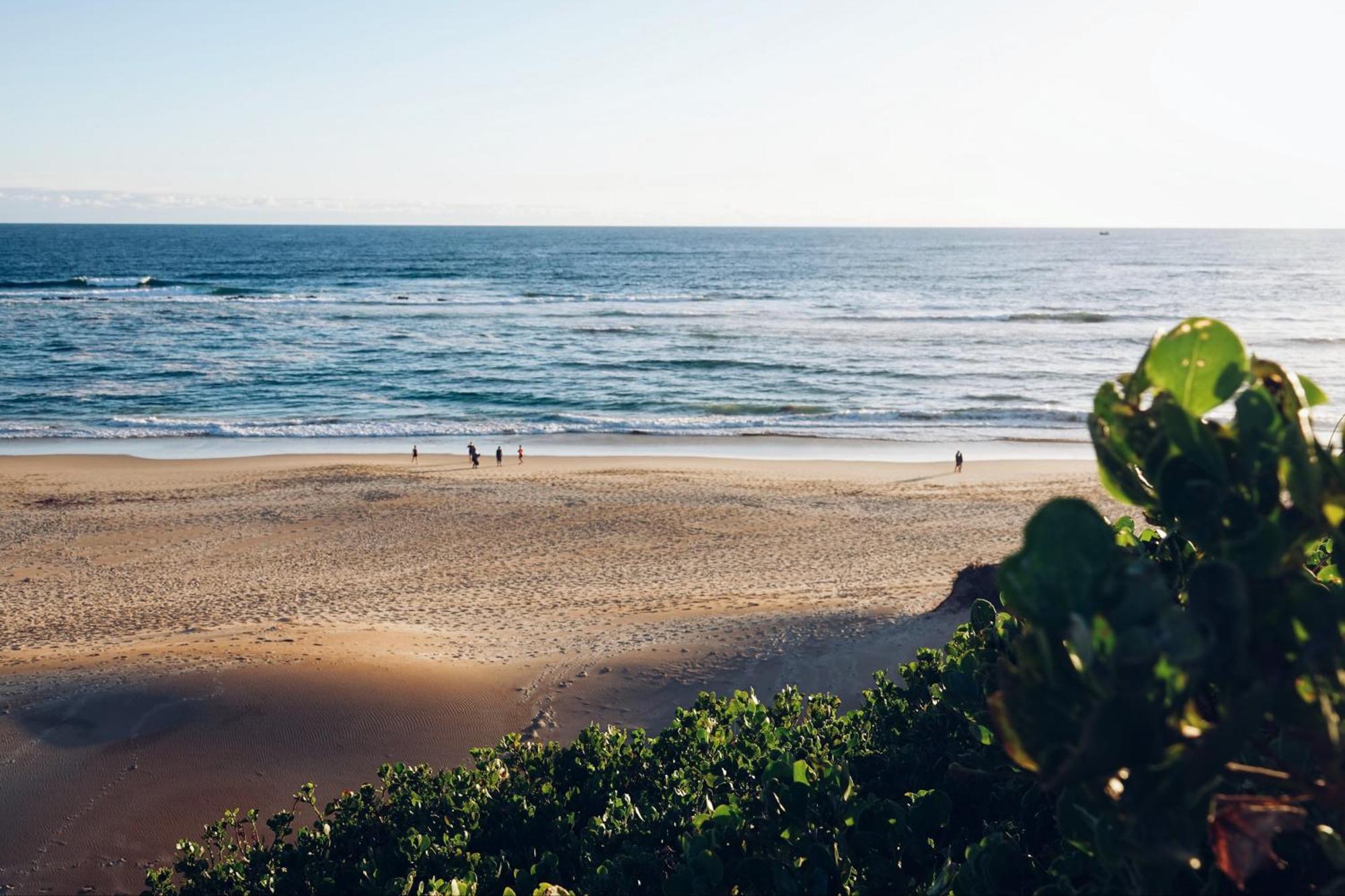 Soutelande Country Stay - Close To 1#Beach In Pe Порт-Элизабет Экстерьер фото