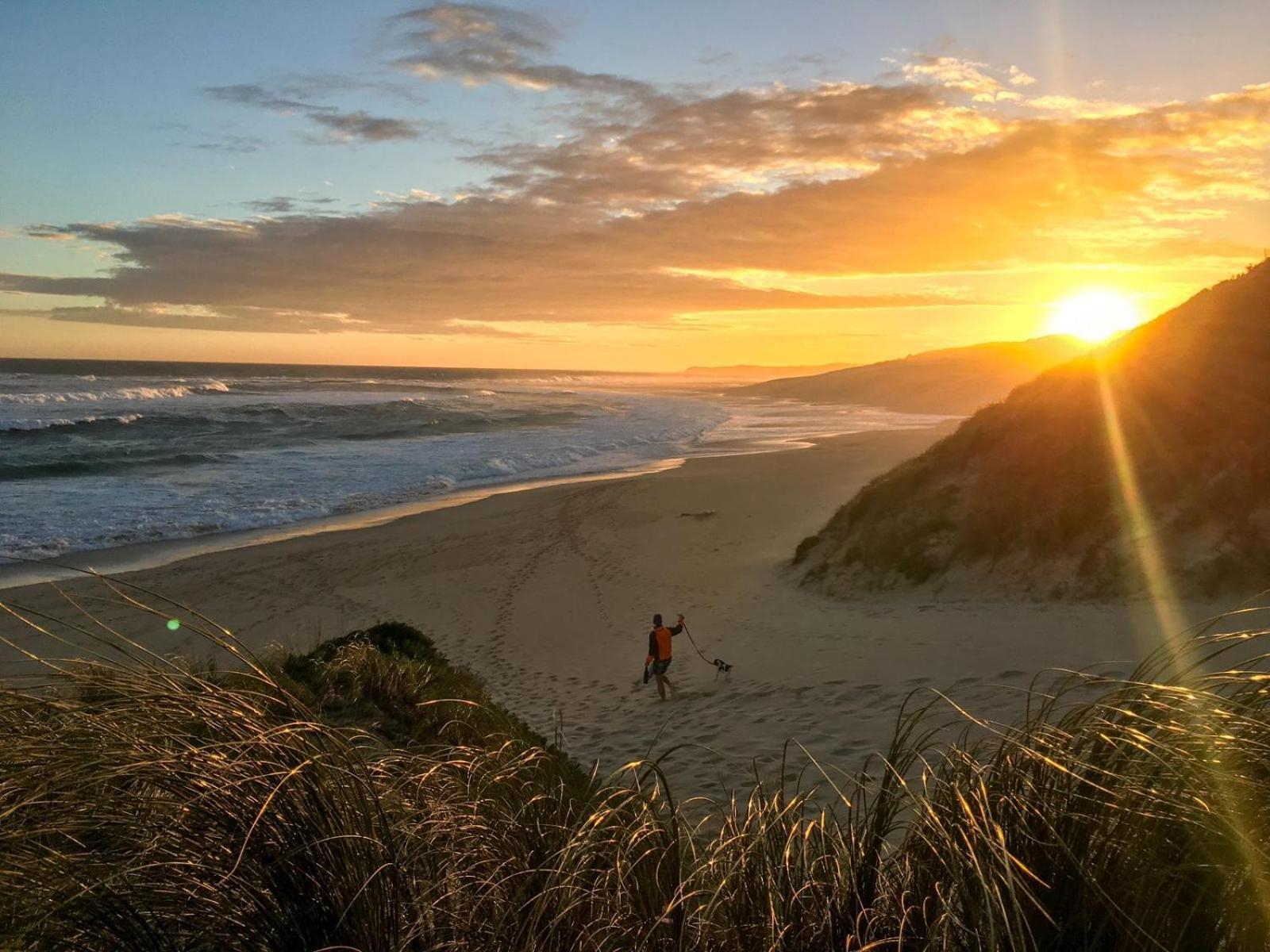 Soutelande Country Stay - Close To 1#Beach In Pe Порт-Элизабет Экстерьер фото